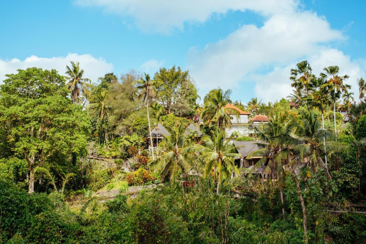 Bed and Breakfast Sunset Hill Ubud Exterior foto
